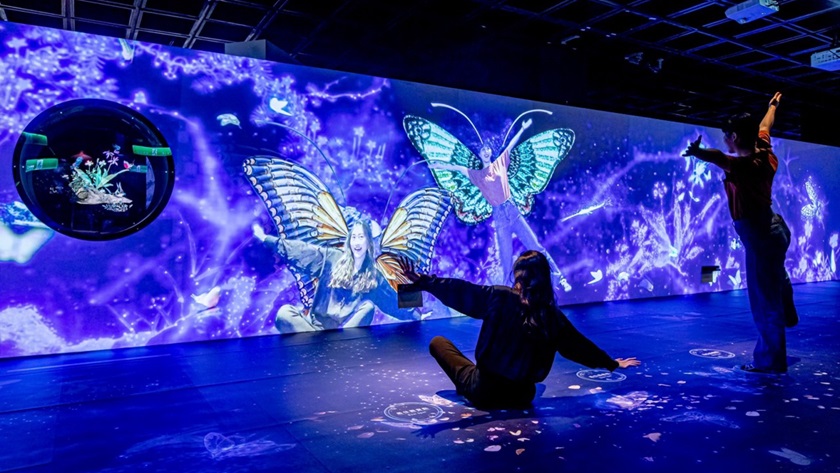 體驗互動投影系統(tǒng)