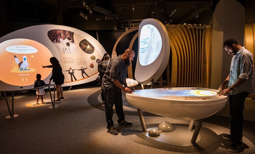 兒童科普館設(shè)計 趣味性兒童科普館設(shè)計圖展示