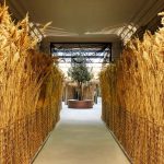 r(nng)I(y)չdO(sh)Ӌ(j)Ô(sh)ֶýwO(sh)Ӌ(j)˼·