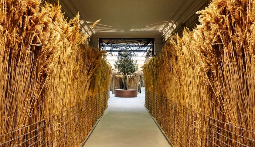 農業(yè)展廳設計 農業(yè)展廳設計布局展示