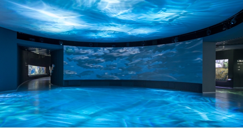 弧幕投影技術(shù)營造的沉浸式空間