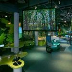 r(nng)I(y)^wF(xin)r(nng)I(y)Ļɫc(ni)