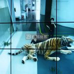 F(xin)wлΑҪõO(sh)