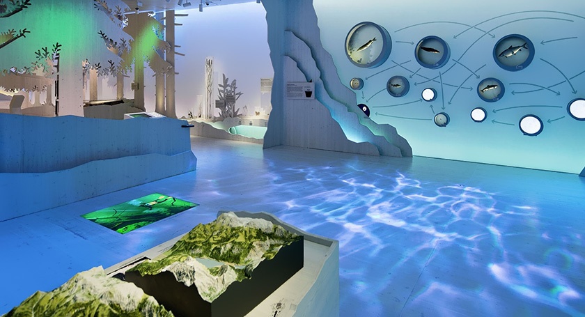 海洋主題展廳 海洋主題展廳