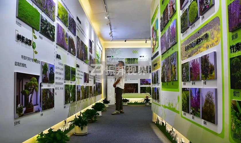 植物科普展廳文化墻 植物科普展廳文化墻