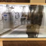 透明LED屏制作方案在優(yōu)化用戶體驗(yàn)方面具備哪些創(chuàng)新優(yōu)勢(shì)？