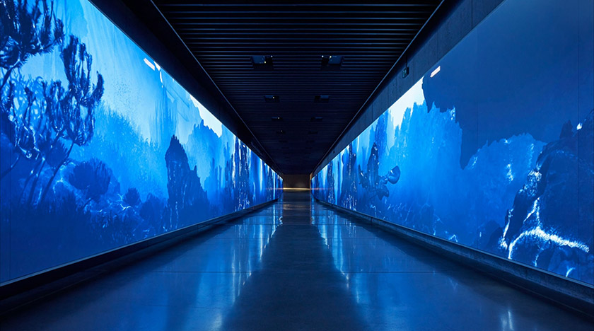 沉浸式投影走廊效果圖 沉浸式投影走廊效果圖