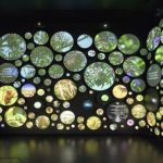 科普教育基地引入投影互動裝置，沉浸式學(xué)習(xí)體驗再升級！