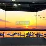 科幻照進現(xiàn)實，現(xiàn)代化科技館設計，打造震撼科技感官之旅！