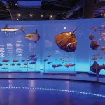 科普展館設計整體規(guī)劃中，需細分為哪幾個核心設計部分？