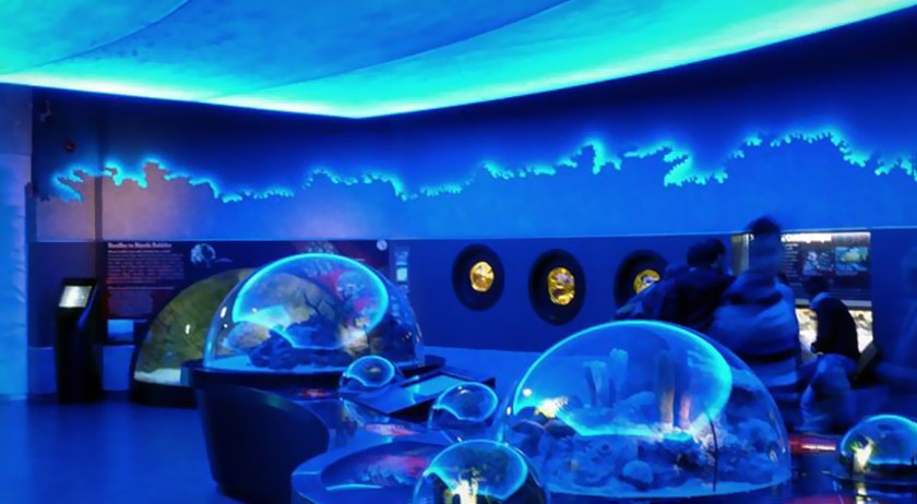 科普展館沉浸式投影 科普展館沉浸式投影