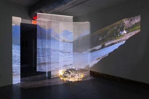 紗幕投影的多場(chǎng)景應(yīng)用中，有哪些成功案例值得借鑒與學(xué)習(xí)？