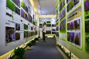 在設計科普教育館的互動展區(qū)時，如何融合現(xiàn)代科技加深學習體驗？