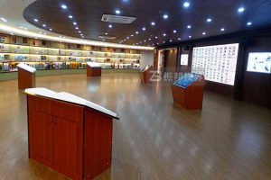 從數(shù)據(jù)可視化到場景重構(gòu)：數(shù)字展墻如何賦能現(xiàn)代化政務(wù)展廳升級！