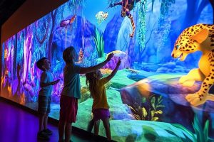 預算有限如何實現(xiàn)魔法展廳？輕量化霍格沃茲墻互動方案全解析！