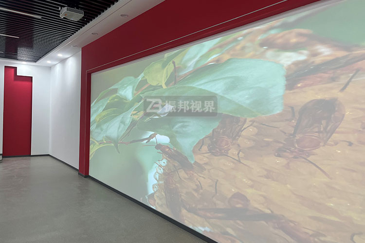 雷達互動投影系統(tǒng)